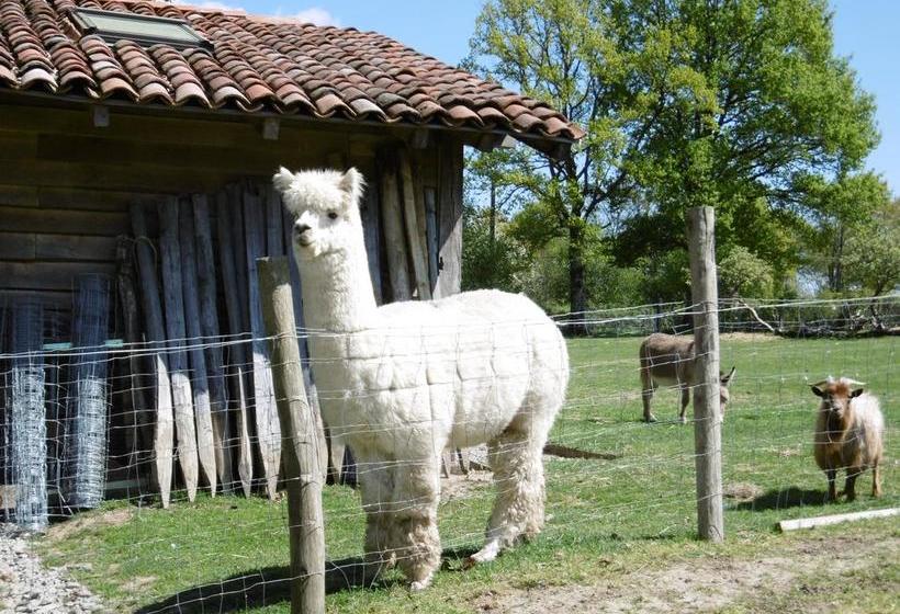 مبيت وإفطار Lazy Days