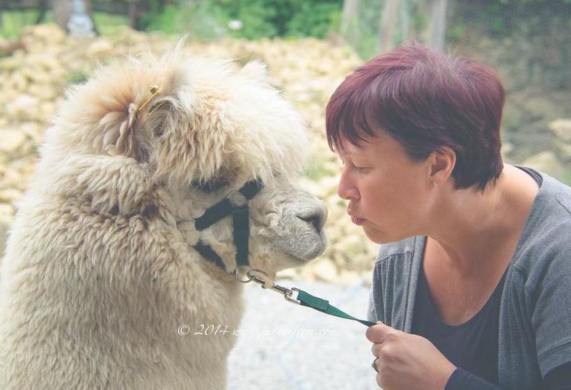 مبيت وإفطار Lazy Days