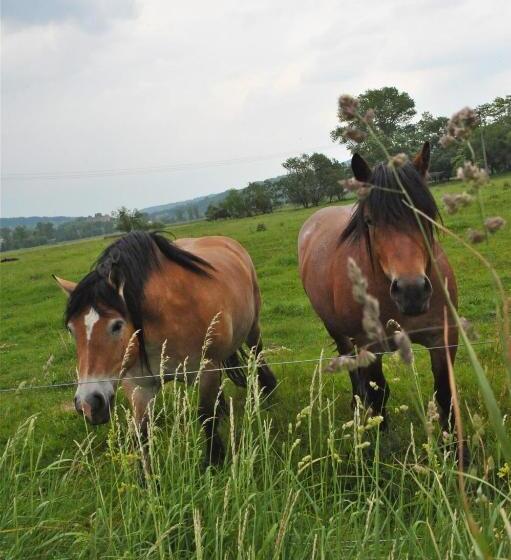 Biohotel Stiftsgut Wilhelmsglücksbrunn