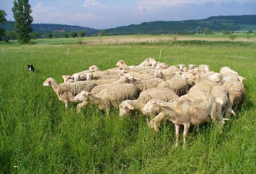 Biohotel Stiftsgut Wilhelmsglücksbrunn