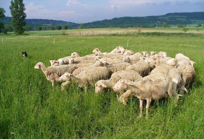 Biohotel Stiftsgut Wilhelmsglücksbrunn