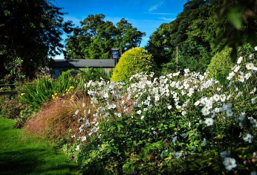 פונדק The Wyvill Arms