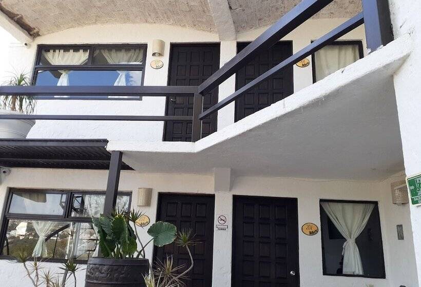 هتل Casa Blanca San Miguel