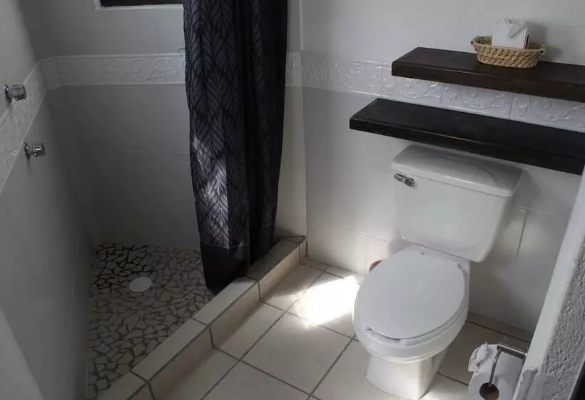 هتل Casa Blanca San Miguel