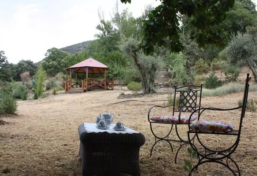 ホテル El Castañar Nazari Adults Only