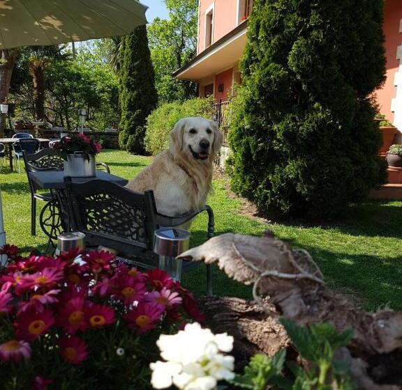 교외 호텔 Rural El Torrejon