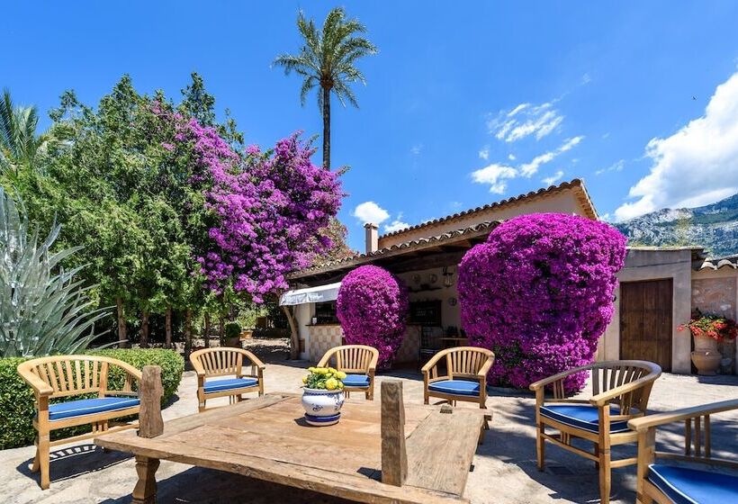 호텔 Son Grec Petit Resort   Adults Only