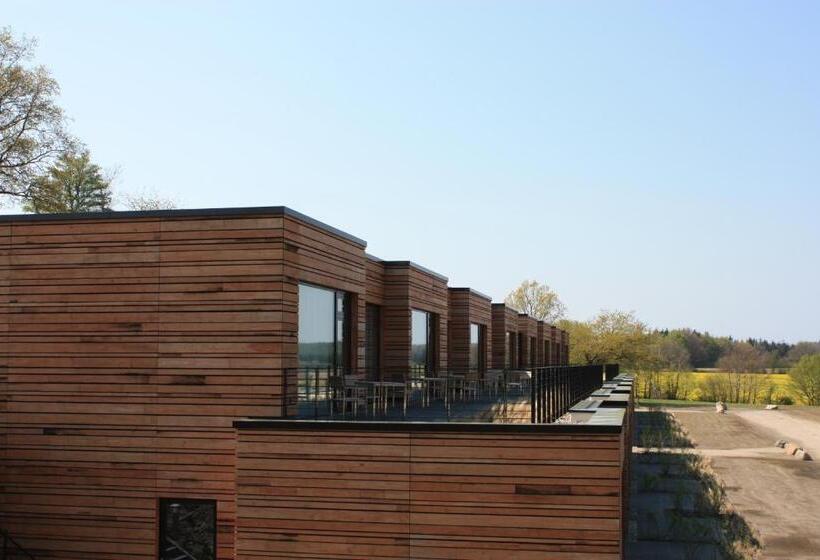 Panorama Hotel Aschberg