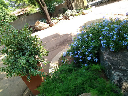 بنسيون @four Guest House Brits