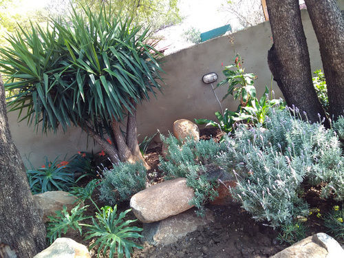 بنسيون @four Guest House Brits