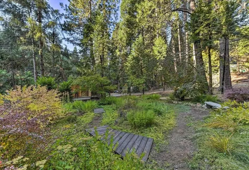 Near Vineyards: Cabin W/ Hot Tub In Pollock Pines!