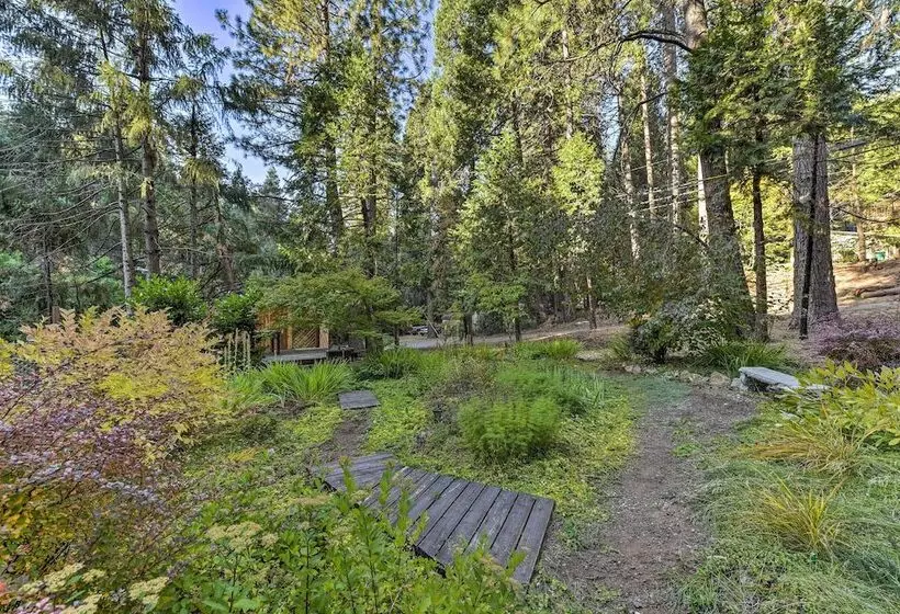 Near Vineyards: Cabin W/ Hot Tub In Pollock Pines!