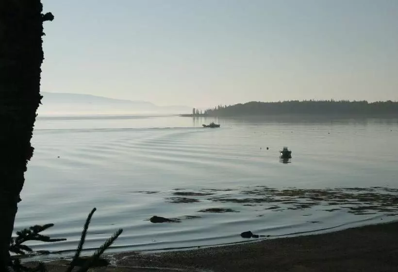 Mabel S Point   Brooklin