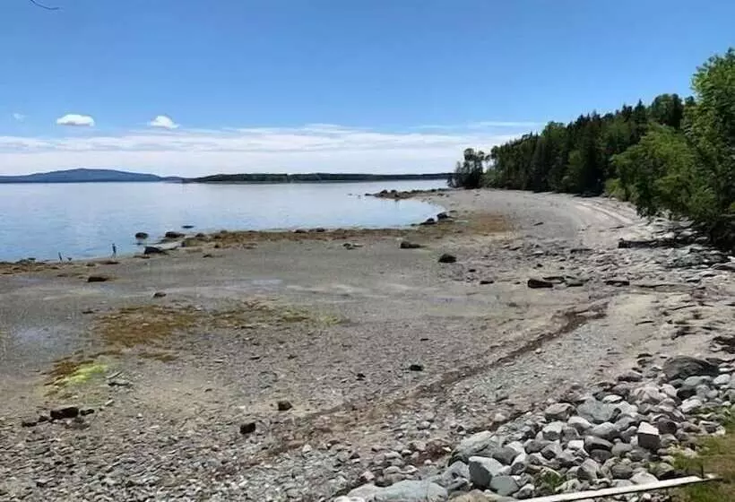 Mabel S Point   Brooklin