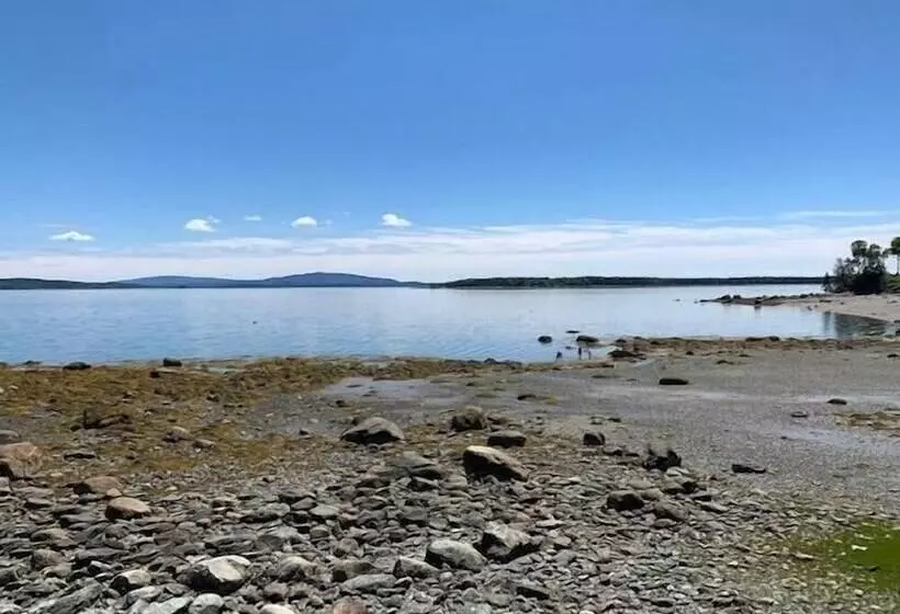 Mabel S Point   Brooklin