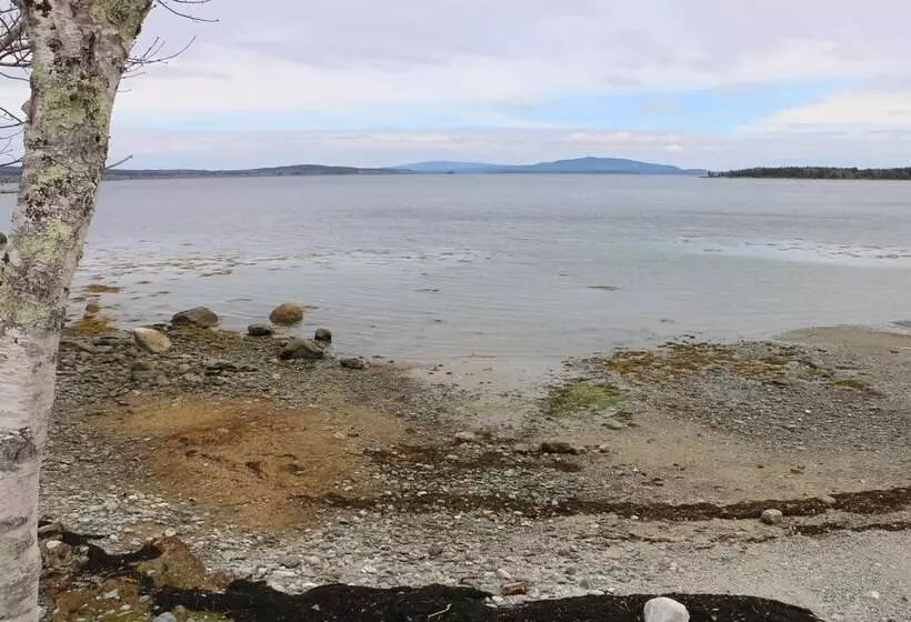 Mabel S Point   Brooklin