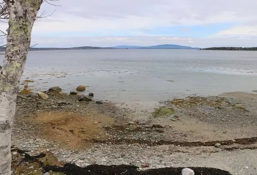 Mabel S Point   Brooklin