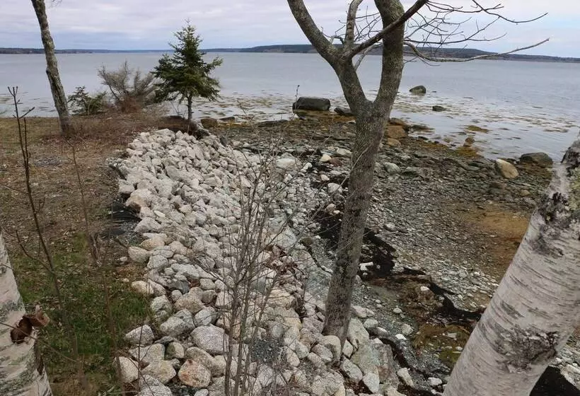 Mabel S Point   Brooklin