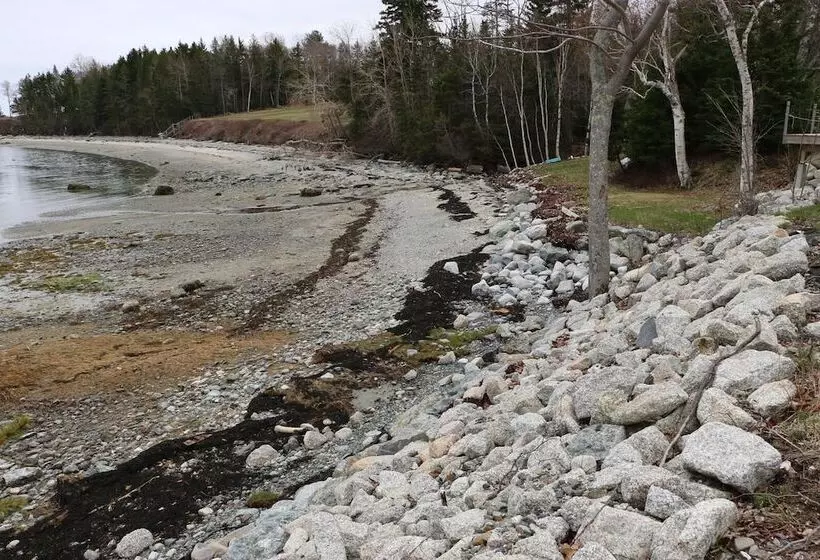 Mabel S Point   Brooklin