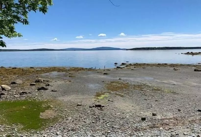 Mabel S Point   Brooklin