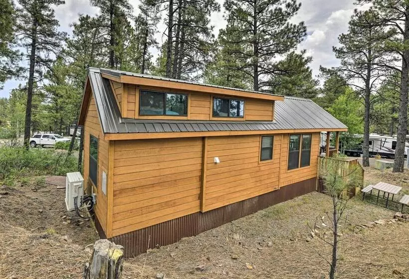Pagosa Springs Tiny Cabin: Fish, Hike, Ski & Soak!