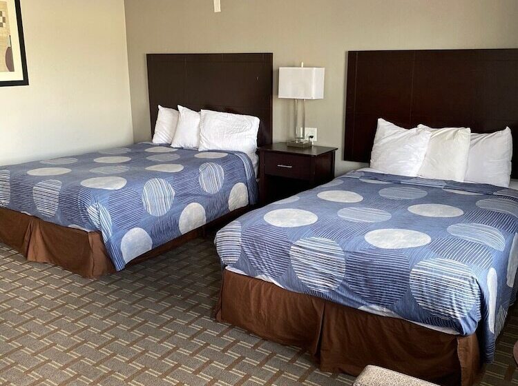 فندق على الطريق New Budget Inn