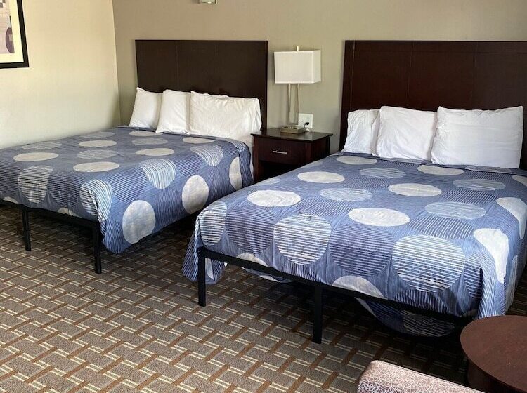 فندق على الطريق New Budget Inn