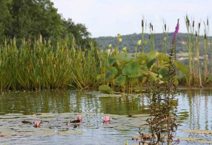 פנסיון The Grand Longere