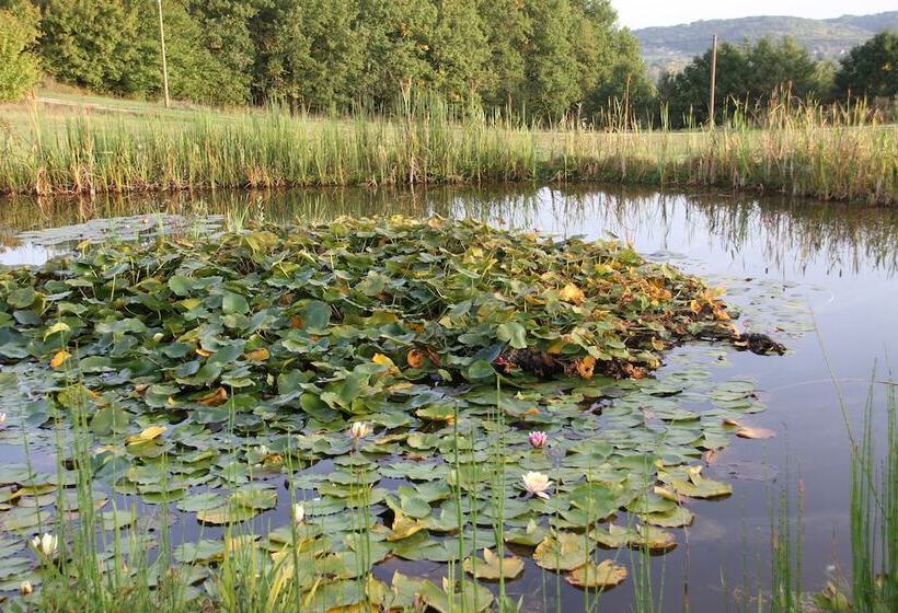 פנסיון The Grand Longere