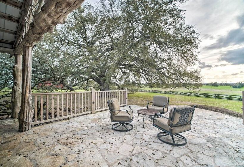 Idyllic Century Oaks Farm In New Ulm On 46 Acres
