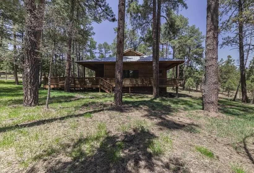 Well Appointed Alto Cabin W/ Fire Pit & Pool Table