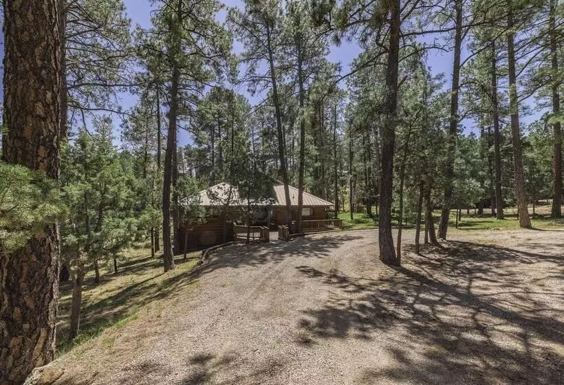 Well Appointed Alto Cabin W/ Fire Pit & Pool Table