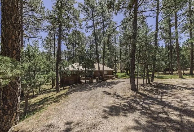 Well Appointed Alto Cabin W/ Fire Pit & Pool Table