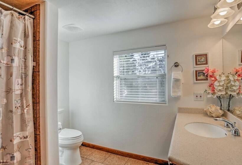 Game Room, Yard, Deck & Fireplace: Lakeside Home