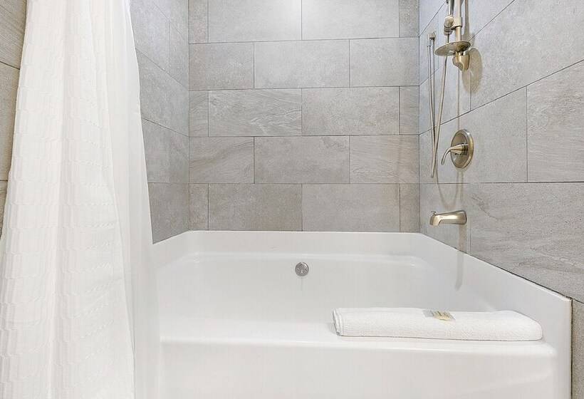 Exquisite 4 Br Condo In New Orleans