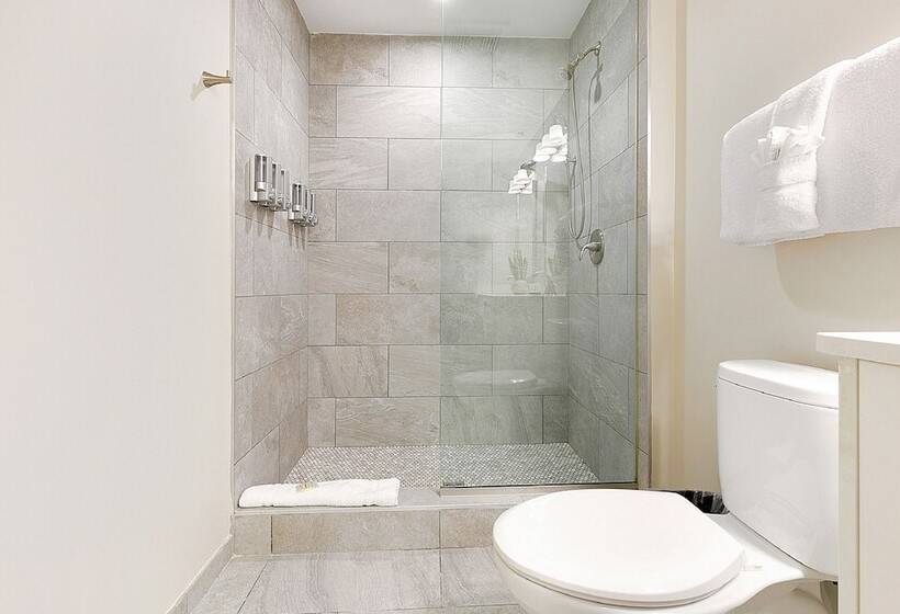 Exquisite 4 Br Condo In New Orleans