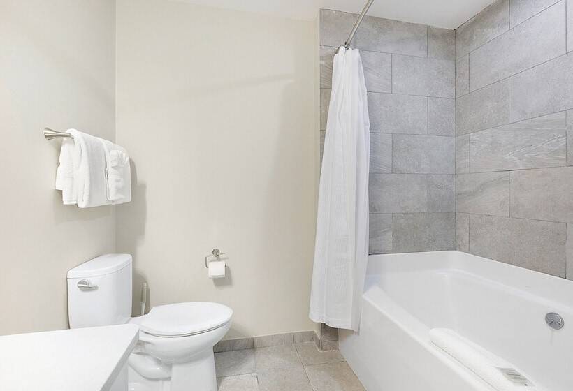 Exquisite 4 Br Condo In New Orleans