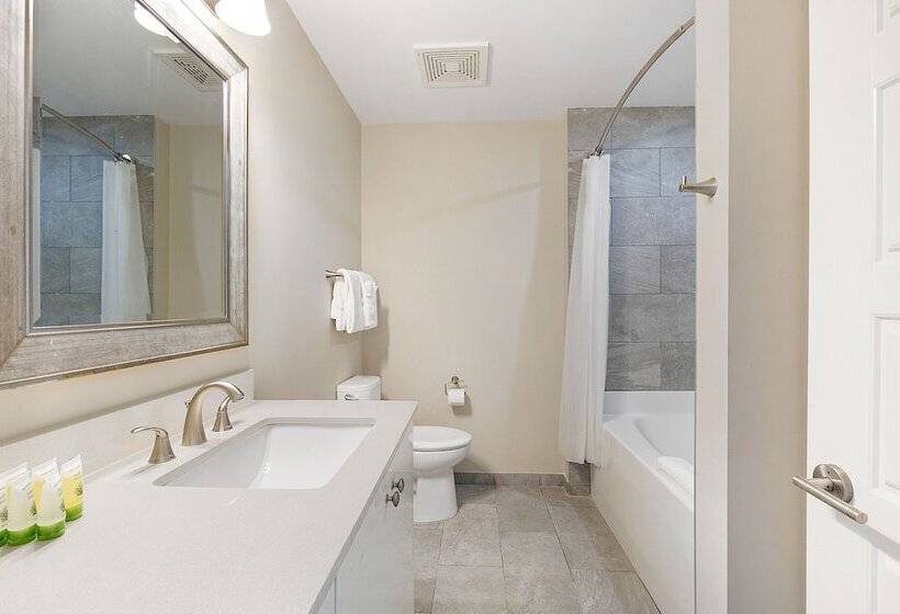 Exquisite 4 Br Condo In New Orleans