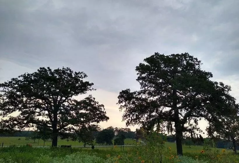 Hotelli Country Dome Suites