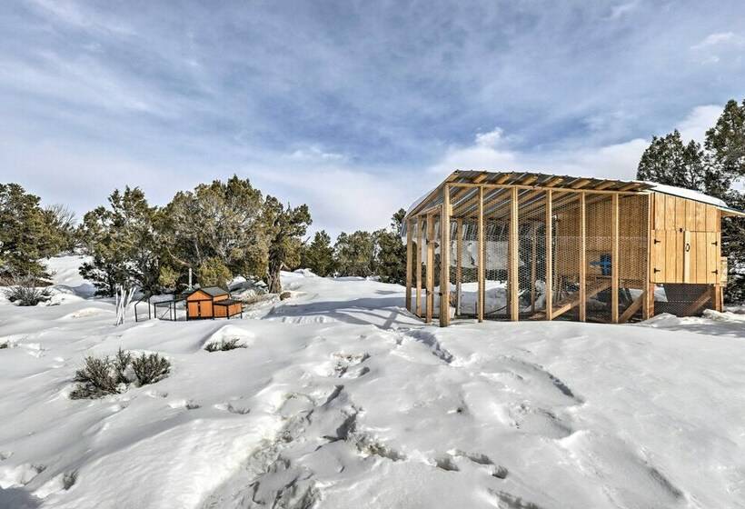 Petfriendly Cabin In Fruitland W/ Atv Trails