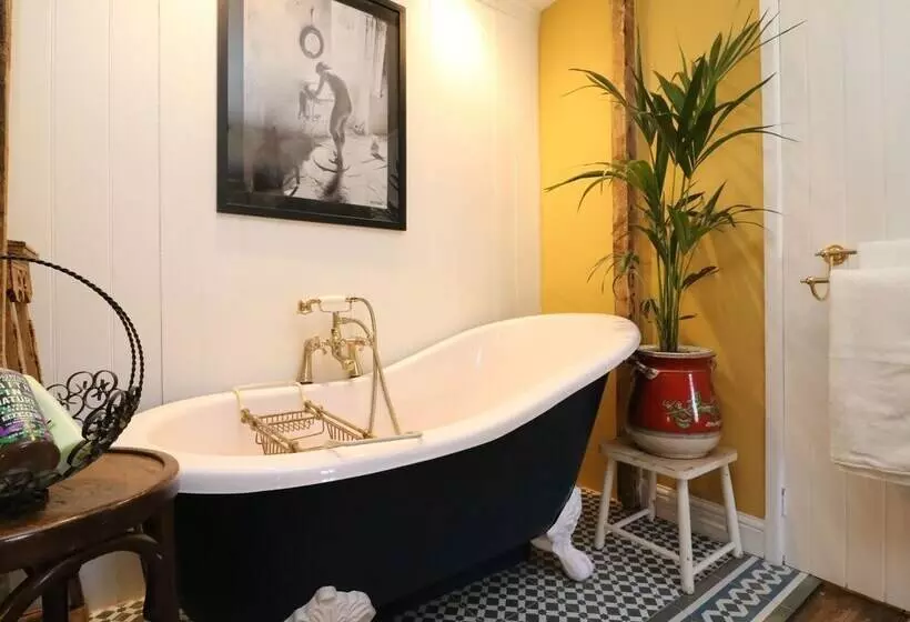 Quintessential B&b