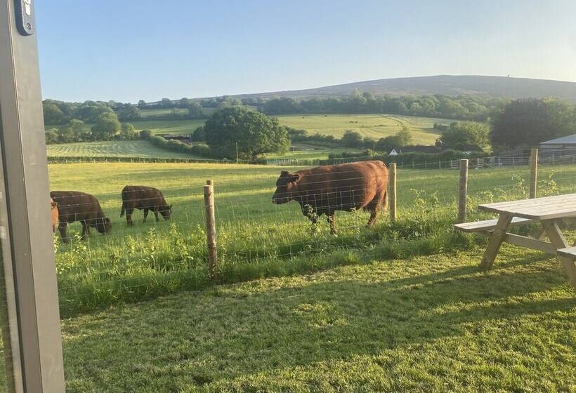 דירת נופש Red Oaks Shepherds Hut