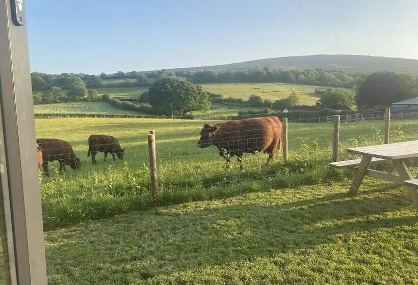 Residenssi Red Oaks Shepherds Hut