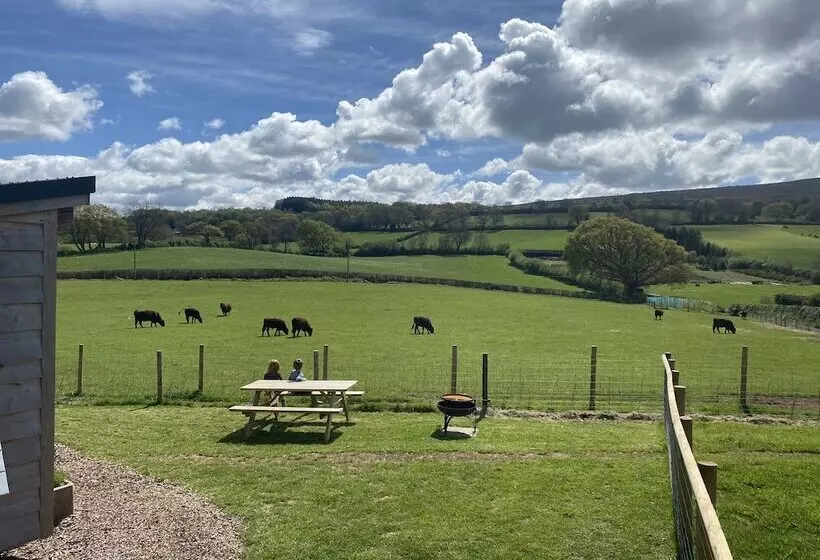 Residenssi Red Oaks Shepherds Hut