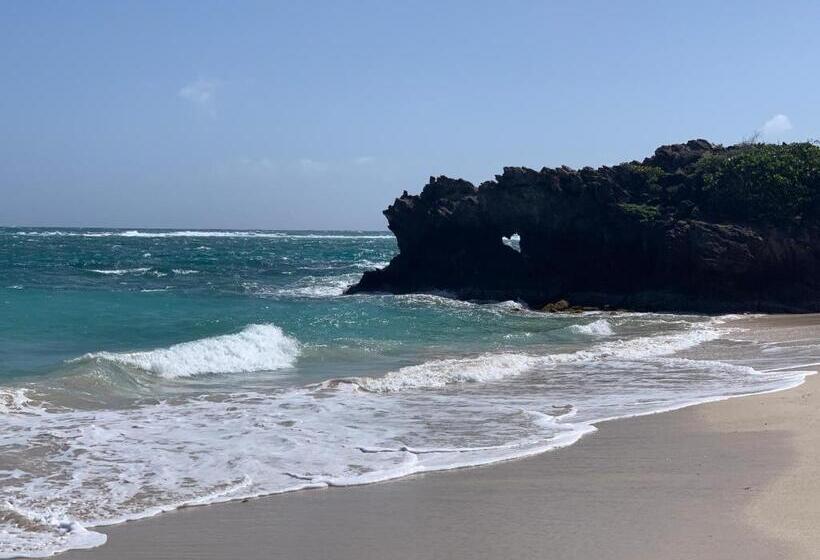 اقامتگاه Les Plages De Macabou