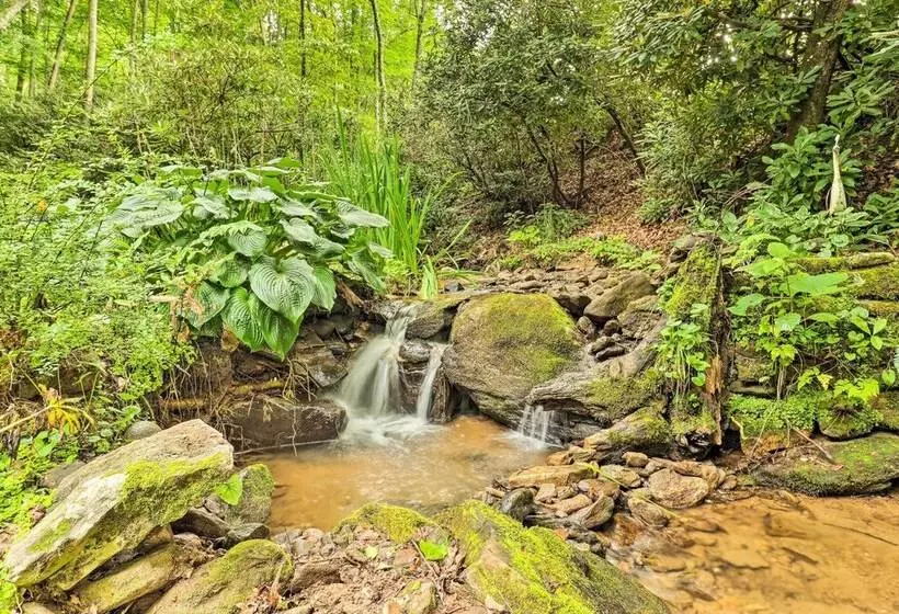 Tree Lined Cruso Cabin W/ Game Room & Mtn Views!