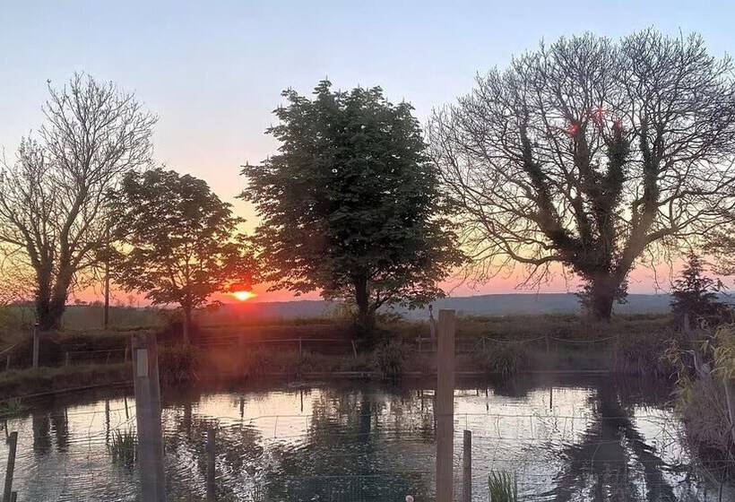 Woodlands Basic Bell Tent 2