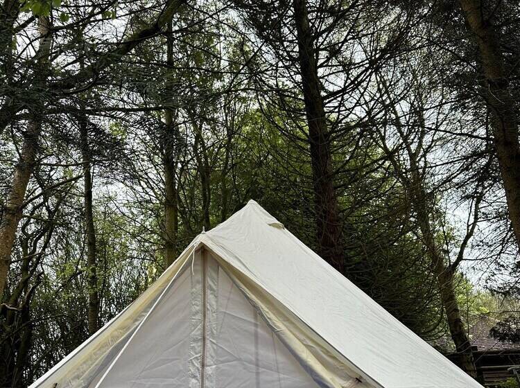 Woodlands Basic Bell Tent 2