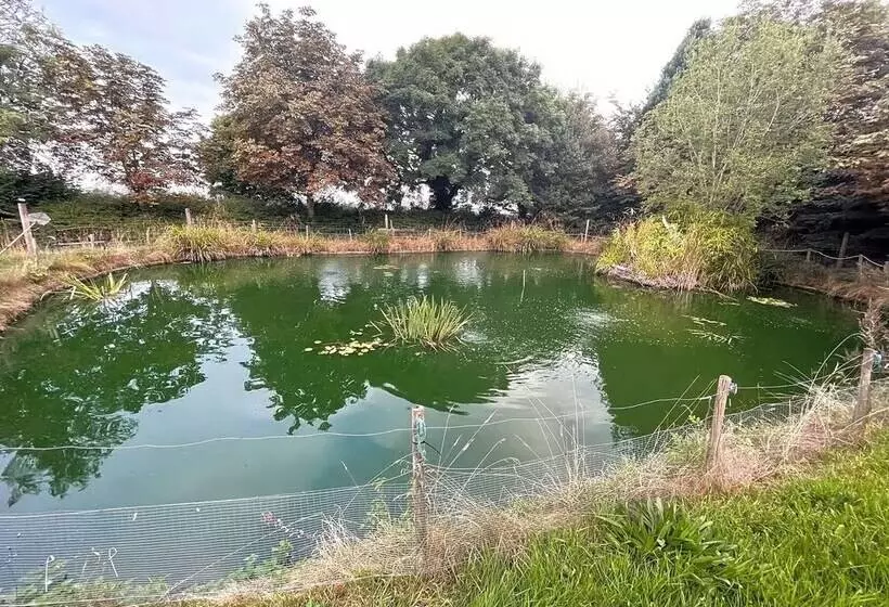 Woodlands Basic Bell Tent 2