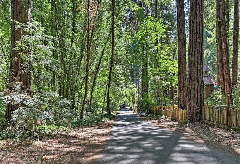 Quiet Cottage W/ Redwood Forest Views & Deck!